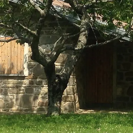 Borgo Castelluccio Country House Hébergement de vacances